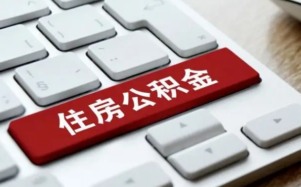 延边公积金公司交的部分怎么提取（公积金提取公司缴纳部分）